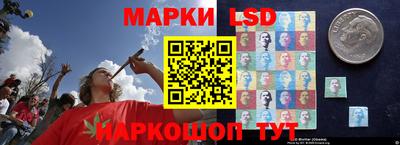 PSILOCYBIN Краснодар