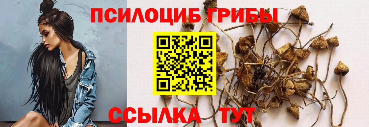 Киселёвск  Галлюциногенные грибы GOLDEN TEACHER  Галлюциногенные грибы мухоморы  Вход с VPN 
