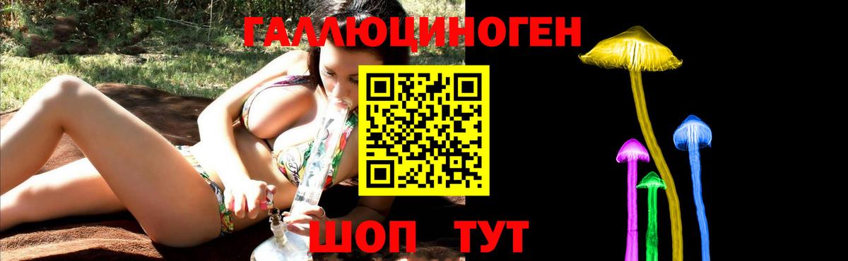 Галлюциногенные грибы мухоморы Киселёвск